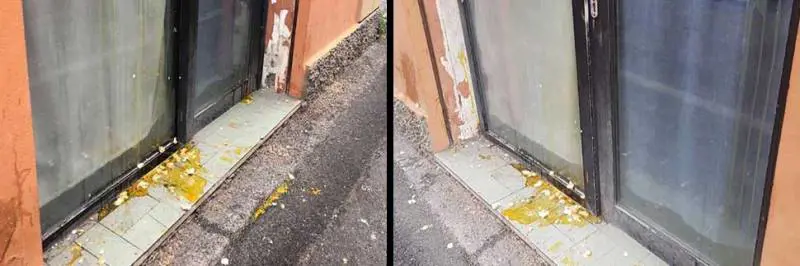 Bologna, raid dei centri sociali: uova e minacce su sede di destra