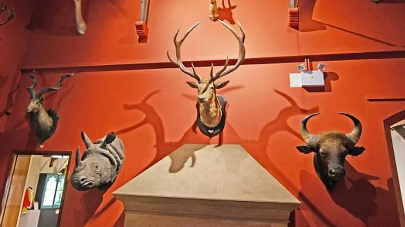 Fra trofei e business. La caccia grossa porta all'estinzione