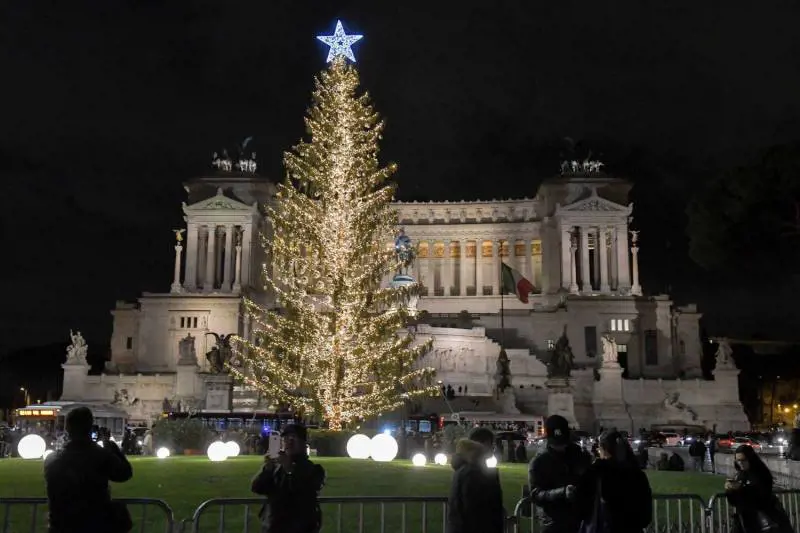 La previsione del botanico: "Spelacchio è malato, sta già morendo"