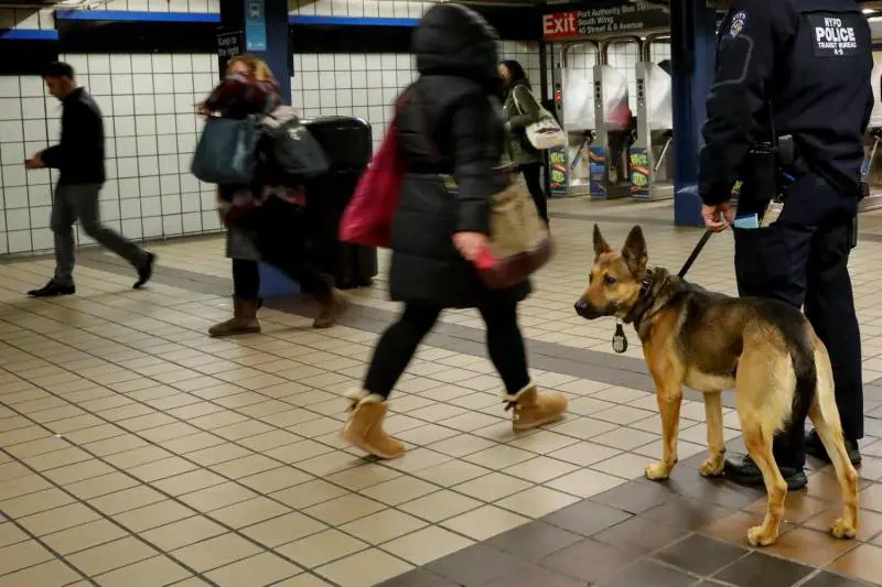 L'attentatore di New York: "America, muori". Trump: "Basta lotteria dei visti"