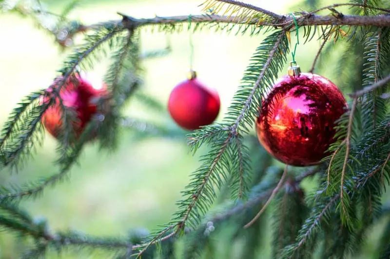 Bitonto, rissa tra mamme alla recita di Natale dei bambini
