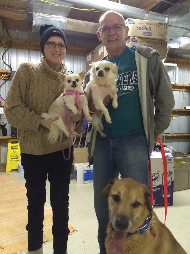 "L'amore di quel cucciolo le ha alleviato le sofferenze"