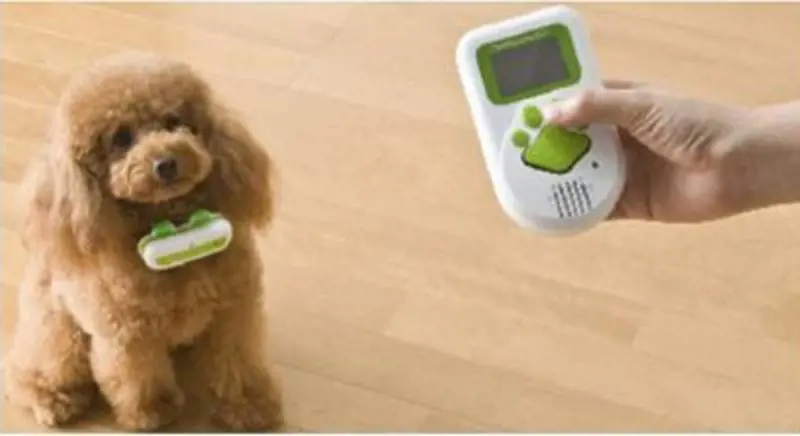 Fido ci parla, la scienza prova a tradurlo