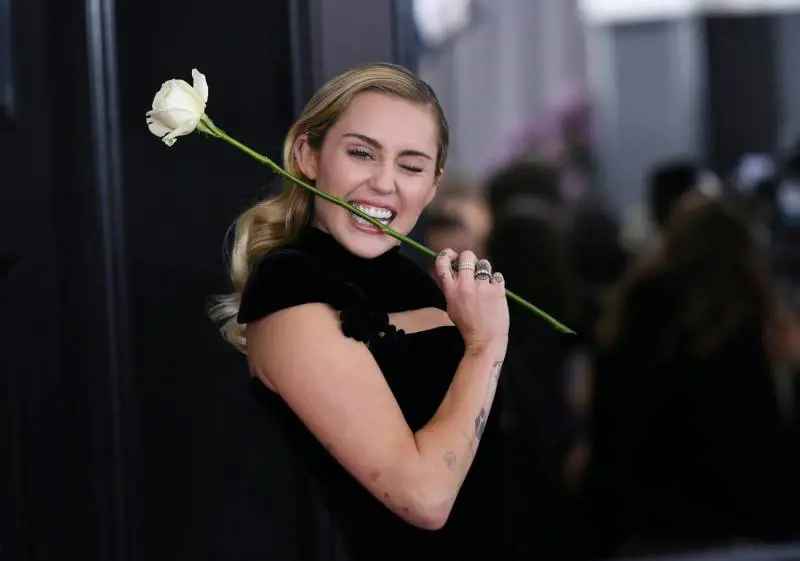 Immagine gallery