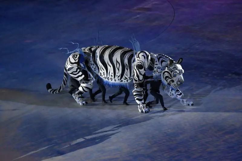 Immagine gallery
