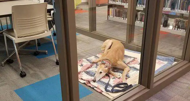 John Muellner/Facebook