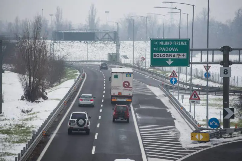 Perugia, orrore in superstrada: cuccioli lanciati da un'auto