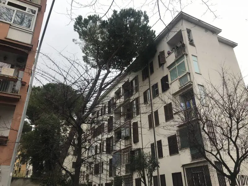 Roma, le case Ater cadono a pezzi: "Qui sembra di essere in guerra"