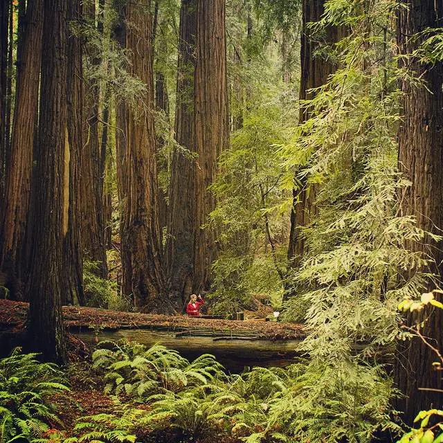Quanto può fare paura l'amore assoluto di un padre per la figlia