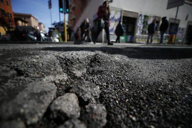 Buche e alberi pericolanti, così il Campidoglio rischia il salasso