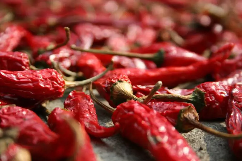 Peperoncino più piccante del mondo, un uomo finisce all'ospedale