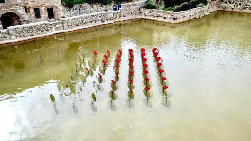 Immagine gallery