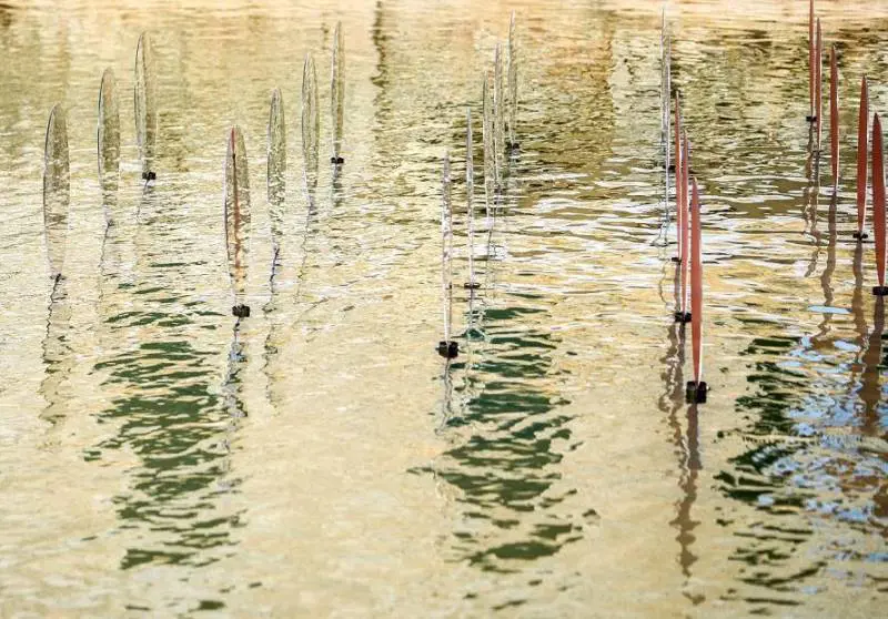 Immagine gallery