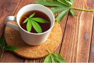 Consiglio superiore della Sanità: "Stop a vendita di cannabis light"