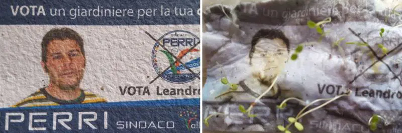 Il candidato è giardiniere? Il "santino" è coltivabile