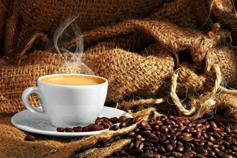 Milano Coffee Festival, il gusto in una tazzina e non solo...