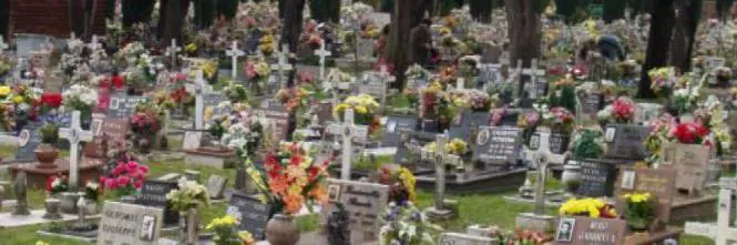 Palermo, eliminavano salme per rivendere spazi al cimitero