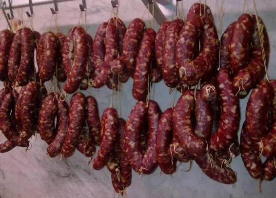 Salame fuori dal centro islamico, in quattro denunciati a Udine