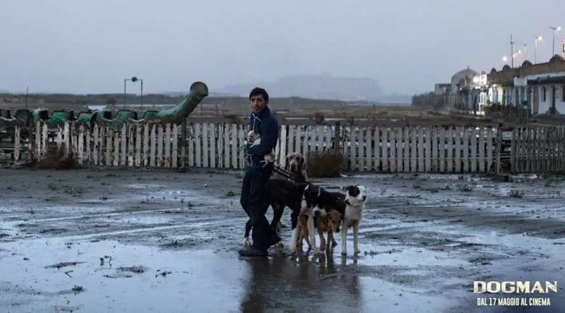 Dogman, un dramma romano girato a Caserta