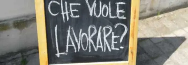 "Qualcuno vuole lavorare?":   ristoratore cerca un aiuto  ma nessuno si presenta