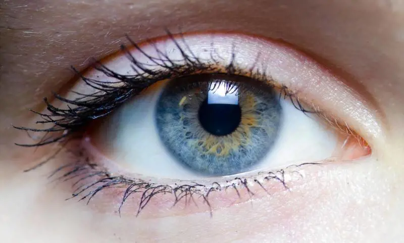 Regno Unito, la prima cornea stampata in 3D: favorirà i trapianti