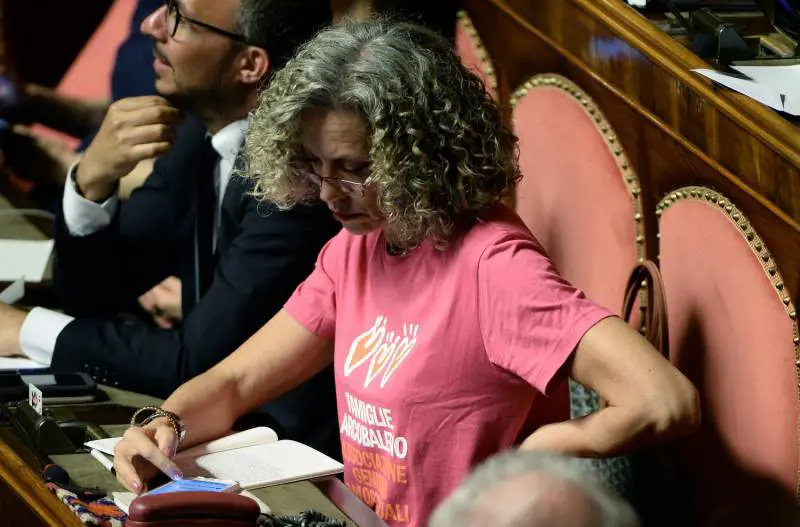Governo Conte, la Cirinnà in aula con la maglietta per le coppie gay