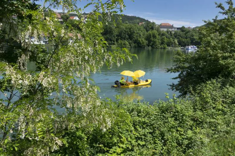 Dalla banana al pedalò: tutto si assicura in estate