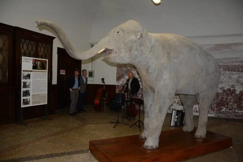 L'elefante di Napoleone Il viaggio dell'eroe (al contrario)