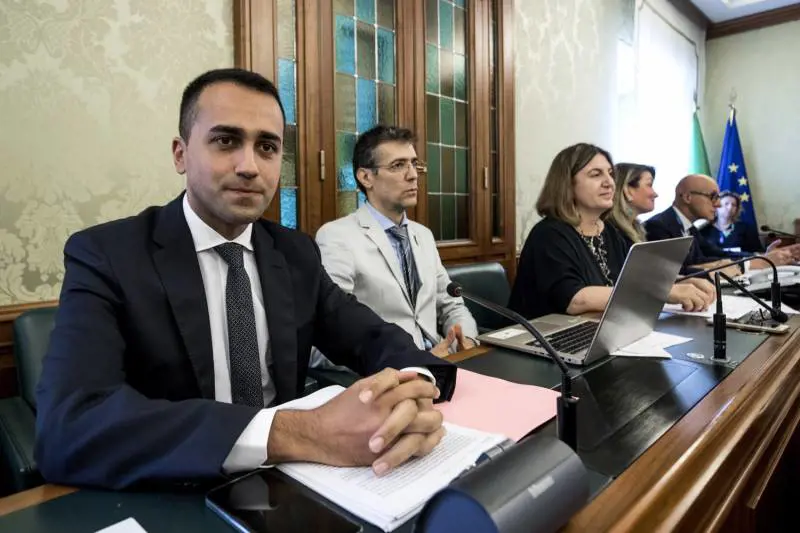 Di Maio in Senato: "Sì a voucher in agricoltura e turismo"