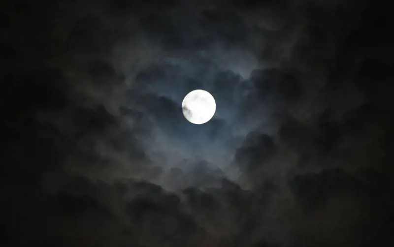 Immagine gallery