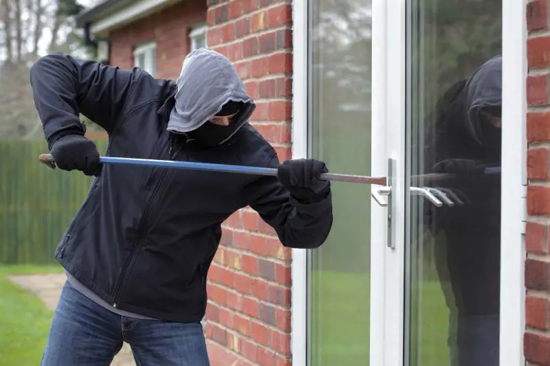 Le sentinelle domestiche mettono in fuga i ladri