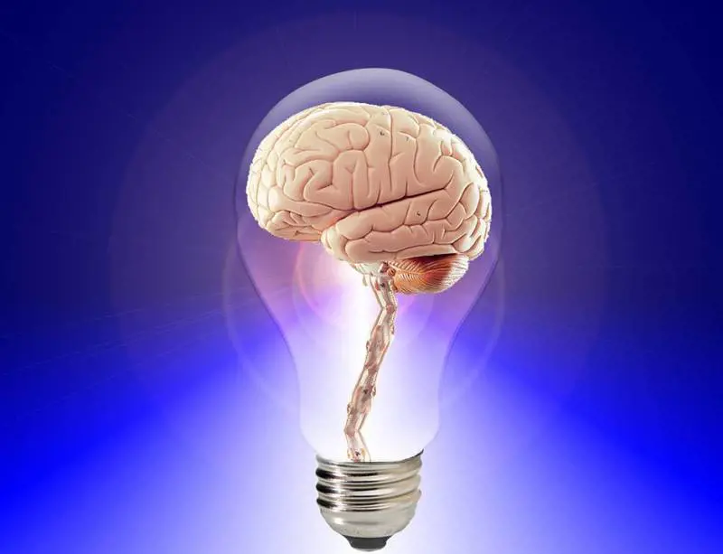 Le novità mantengono giovane il cervello