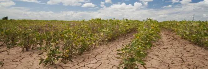 Il cambiamento climatico minaccia di trasformare la Terra in una "serra"
