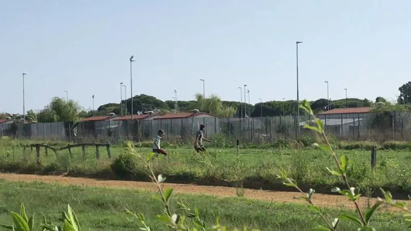 Paura per dipendenti e cavalli: così i rom tengono in ostaggio l'ippodromo