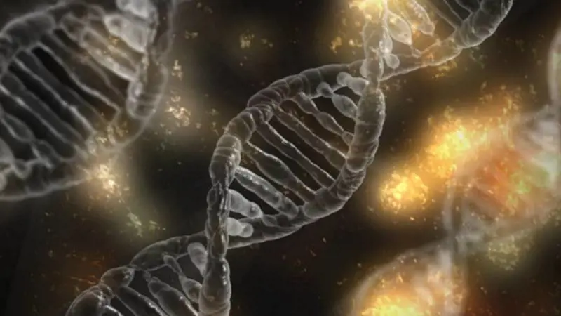 Cina, notizia choc di un ricercatore: "Creati gemelli con Dna modificato"