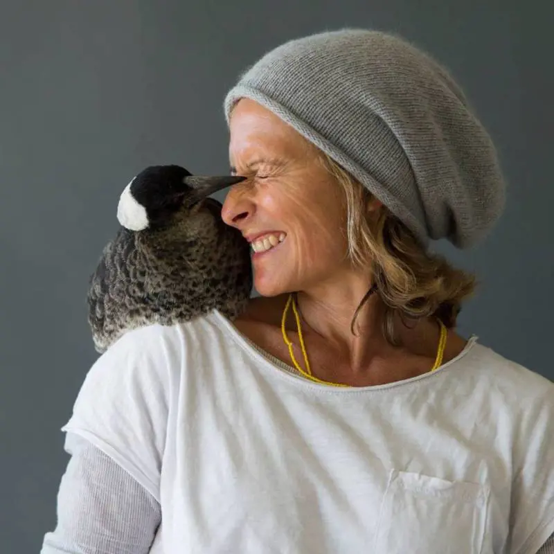 Sam paralizzata e depressa la salva l'amore della gazza