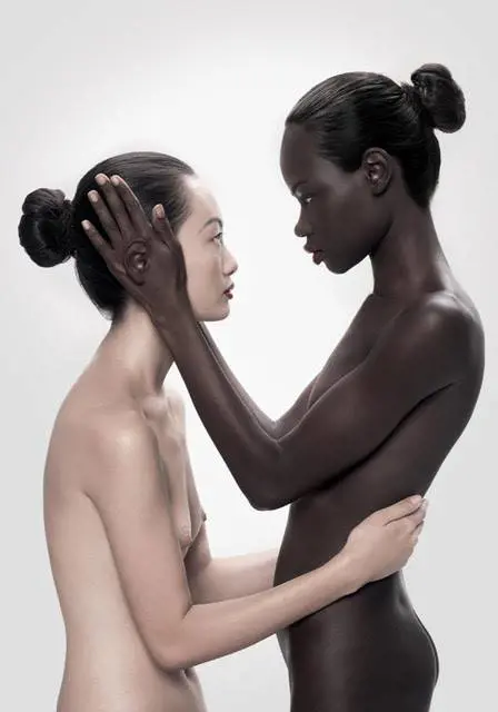 Immagine gallery
