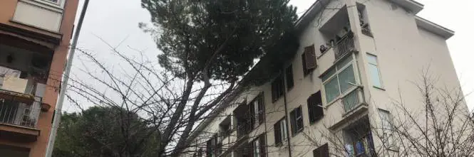 Roma, va fuori nel weekend  e trova la casa occupata