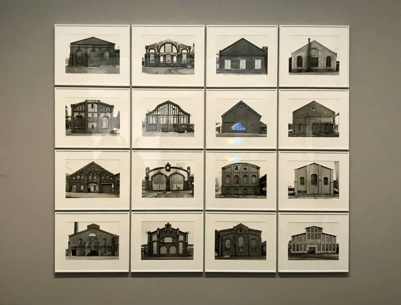 Immagine gallery