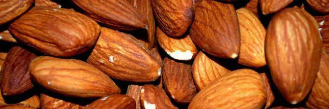 Mandorle, un toccasana per combattere diabete e colesterolo