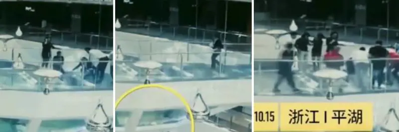 Cina, ragazza inciampa e cade nella vasca degli squali