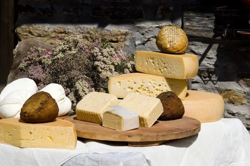 Tra i formaggi di Tarvisio dove si fa spesa nelle malghe