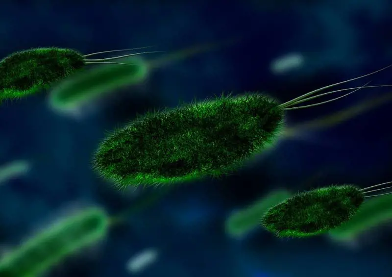 Super antibiotico per combattere i superbatteri