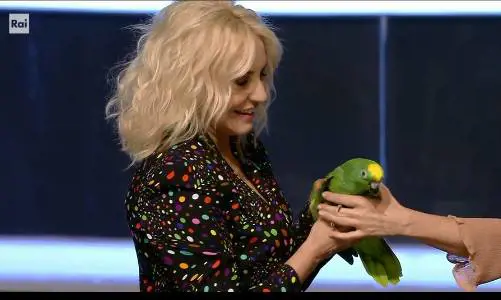 Portobello, polemiche sul pappagallo del programma di Antonella Clerici