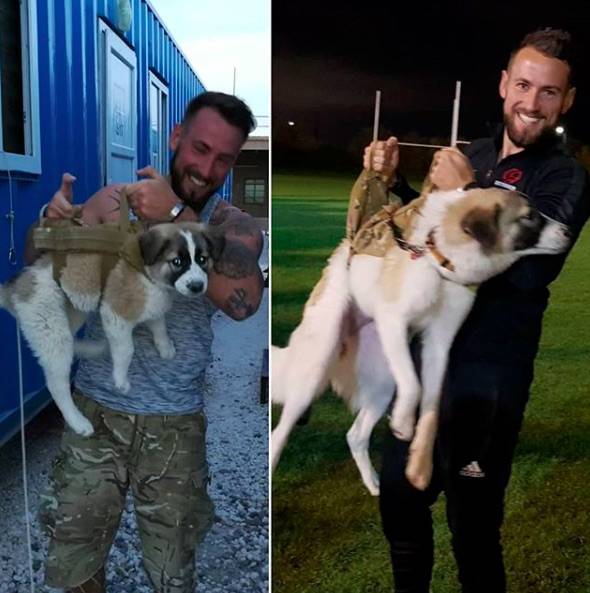 Sean e Barrie, cane e soldato Siria