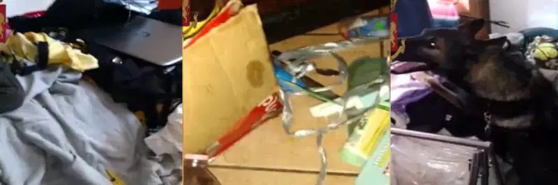 Ancona, orrore nella casa occupata da nigeriani. Stuprata 15 volte a ripetizione