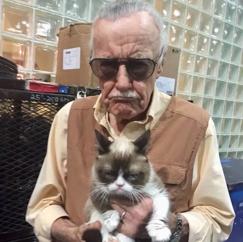 Scomparsa di Stan Lee, le reazioni social