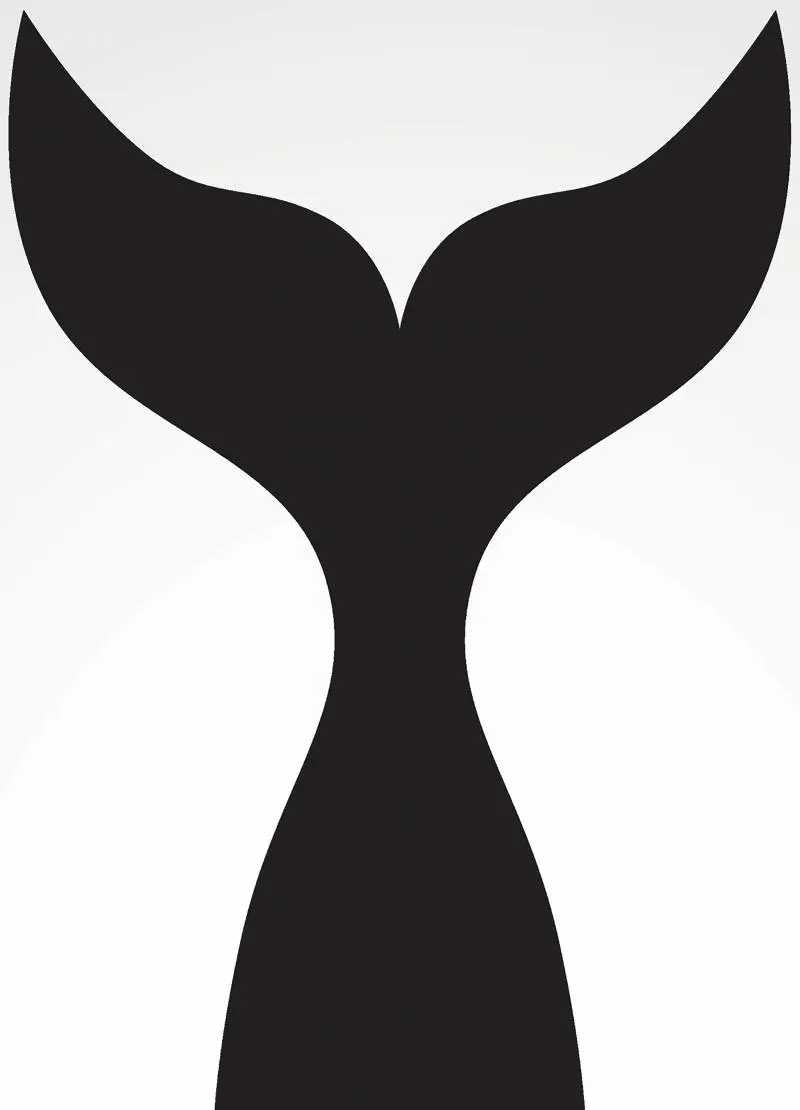 Quando Orson Welles inseguì Moby Dick