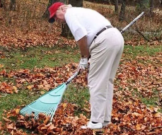 "Rastrellare evita i roghi": Trump deriso sui social