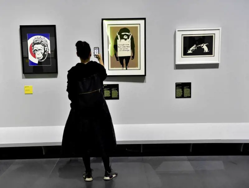 Immagine gallery